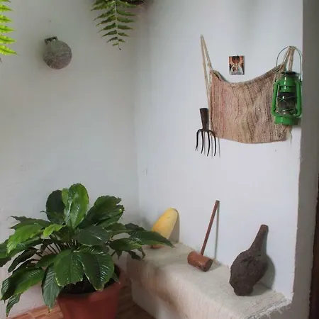 Vivienda Vacacional Sabinosa